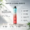 ChatGPT-Image-2026年8月25日-下午10_00_54.webp VAPOR STORM 風暴 5000口 拋棄式電子煙