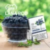 LANA 一代通用煙彈 3顆超值裝 適配一代主機